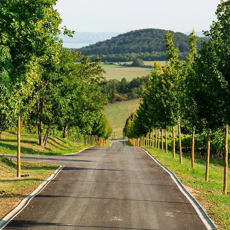 Sentio Estate At Balaton Вилла *